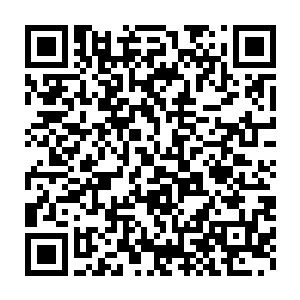 如果成为勋族和贵族后与皇室联姻的话还有可能加入到皇族的行列二维码生成