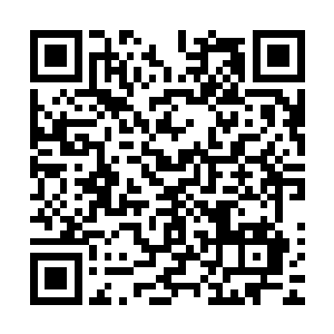 如果我们不退的话只怕我们现在都已经陨落在那至凶之器上了二维码生成