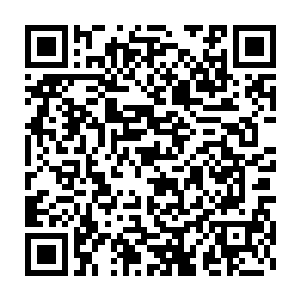 如果我们因为任何一个演员已经拿到过奥斯卡而选择不把票投给他或她二维码生成