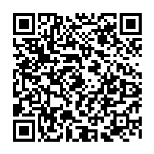 如果我要委托你们万宝阁帮我收罗东方青乙木和彻底改变人根骨天赋的丹药二维码生成