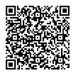 如果换在前几天我肯定会缠着师叔去问前因后果的和那个从人家挖出来的古墓里有什么东西二维码生成