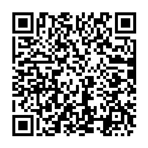 如果日后真的完全倚仗牧千雨的话……会让林铭有一种在吃软饭的古怪感觉二维码生成