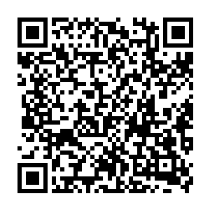 如果是世俗政府的法律制裁或者玄学界之中的潜规则导致的死伤倒也罢了二维码生成