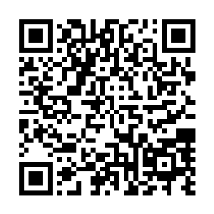 如果是墨景祈的话只会直接要求杀了墨修尧而不是与他比武二维码生成