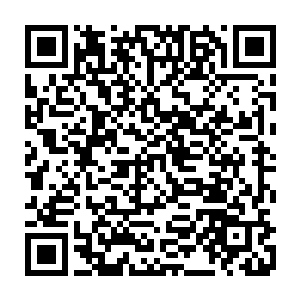 如果是新申请的账号的话就必须从头开始去做任务发书评什么的拿经验了二维码生成