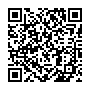 如果有深海诸族动用神海无数的海洋生物来寻找的话二维码生成