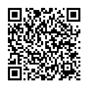 如果李志远对这个项目不设任何附加条件的坚决支持的话二维码生成
