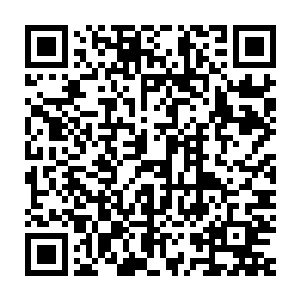 如果条件对我们不利的话……那么我们可以选择放弃第二阶段任务二维码生成