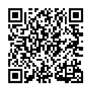 如果格力斯在这次试炼中继续脱颖而出获得推荐名额的话二维码生成