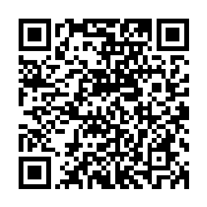 如果没有张卫东在前面替众人硬生生的开辟出一条短暂的通道二维码生成