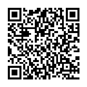 如果现在同样还有一盆紫绶盖绿英和你的这盆并排放在一起二维码生成