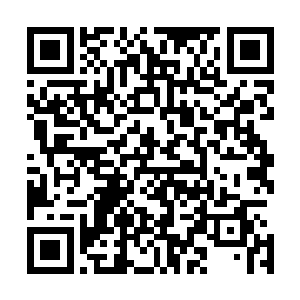 如果甄家是在昨天才在天寒城的供水系统中把虫卵投进去的二维码生成