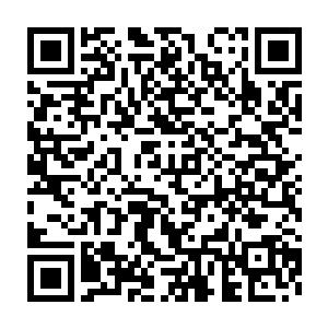 如果真的在他管理瀚海城的这段时间里接天石碑出了什么岔子的话二维码生成