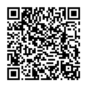 如果真的能够把这人收归帐下 那一个小小的王爵所带來的麻烦 算的了什么二维码生成