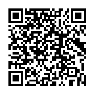 如果秦宇没有传言中的那么厉害那他这一次就真的输惨了二维码生成