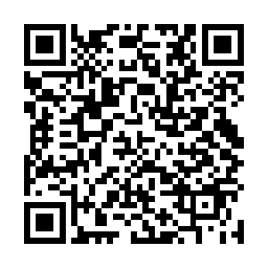 如果站在宇宙港的顶层去俯瞰建设中的太空城就会发现二维码生成