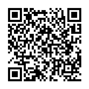 如果端木家族不回应的话只会引发外界更加浓烈的怀疑二维码生成