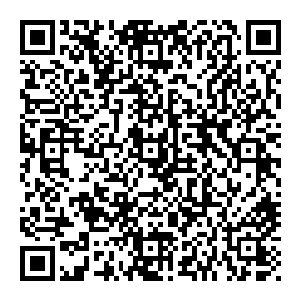 如果能够和德国联邦经济技术部官员以及德国驻沪上总领事馆官员来一次欢迎德国企业到我们昌江到我们丰州投资兴业的座谈二维码生成