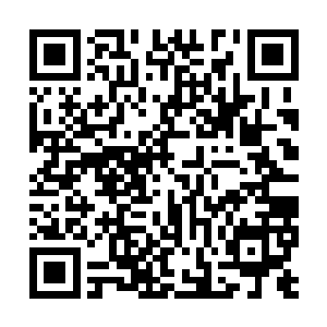 如果能让他顺利的把那颗血珠吸收的血气炼化完毕二维码生成