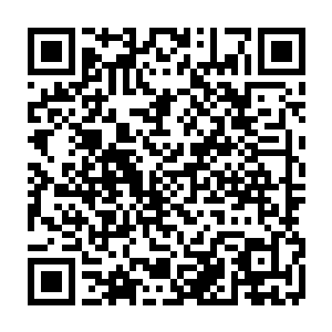 如果自己不是在时空长河中机缘巧合之下看到了两个仙皇之间用界在战斗二维码生成