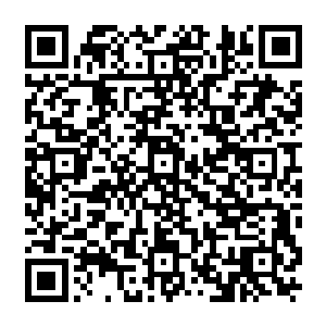 如果自己不是秦洛如果自己的身份是一个无权无势也没有任何影响力的普通老百姓呢二维码生成