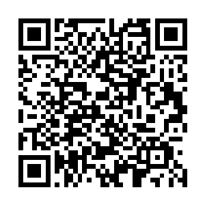 如果自己的轮回分身也提升到神帝小圆满或者小圆满的阶段二维码生成