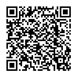 如果被城主府发现他们要搜寻的人在任何一方势力的家中没有被发现二维码生成