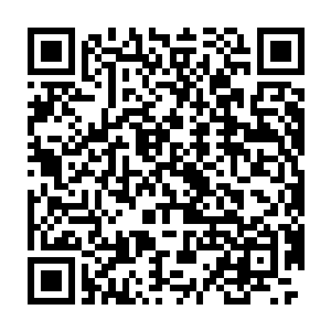 如果被季疏云和君无极知道他们是用两人的起床时间作为赌注在赌博二维码生成