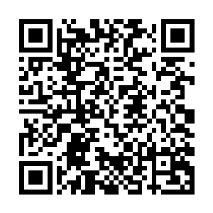如果要是杨风没有明白到底如何的杀敌而去硬拼的话二维码生成