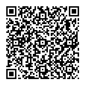 如果让他选的话他也宁愿外放出去就算当个县官小吏也比在京城里无所事事听那帮文臣闲磕牙要强得多二维码生成