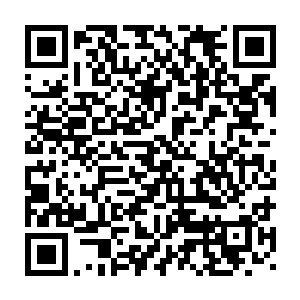 如果让我在短时间内得到宇宙之心并将其炼化到离天宇宙的那种程度二维码生成