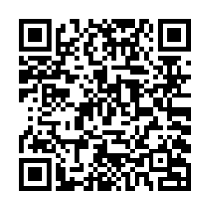 如果说一开始的吸引不过是让我决定厚着脸皮跟着你二维码生成