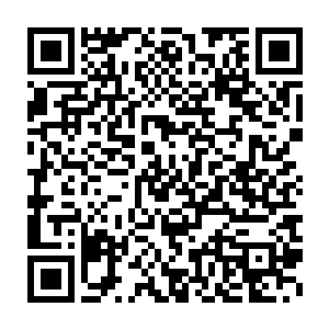 如果说之前甄敬才还对陆为民和甄妮处对象抱着无可无不可的态度二维码生成