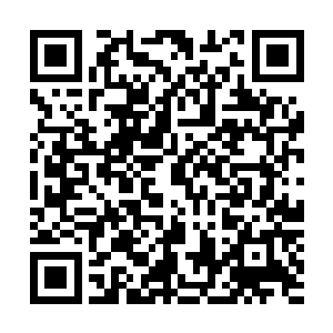 如果说刚刚他们听到莫小鱼居然敢自荐去画下院议长的家宴二维码生成