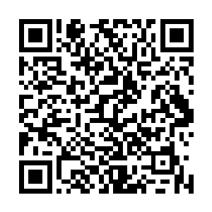 如果说刚才叶凡砸出十万来众人看他的眼神是羡慕妒忌的话二维码生成