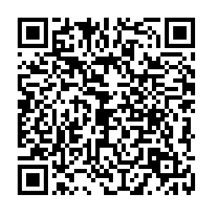 如果说刚才这弟子的眼神是一把切菜的菜刀那么现在他的眼神便是杀人的锐器二维码生成