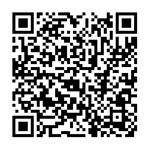 如果说小时候他还小不懂爸爸为什么会被苏小爱给迷的神魂颠倒还情有可原二维码生成