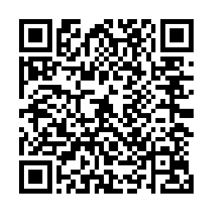 如果说是我们的鹰式战斗机算是第一代成熟的作战飞机的话二维码生成