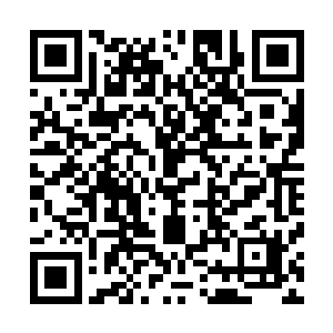 如果说普通人所占世界意志的比例连亿万分之一都没有的话二维码生成
