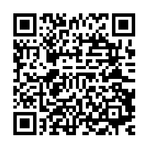 如果说流墨墨她们看到的是满目的杂乱混杂填补在岩石中的柔软二维码生成