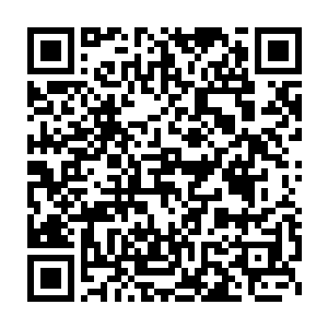 如果说这个假结婚的消息是和他们已经秘密结婚的凭据一起送达的话二维码生成