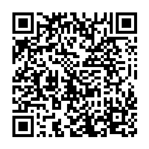 如果谁敢背着我动她们一根手指头……就是在挡我们大家伙的财路二维码生成
