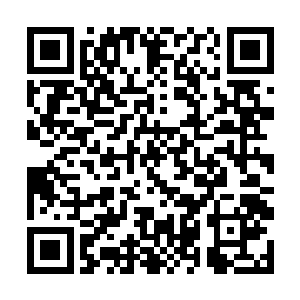 如果辽人喜欢把弓箭手排成一排排的接受火炮的轰击二维码生成