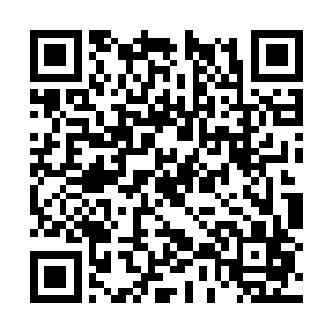 如果这个世界上还有什么可以演算出你的命格的话二维码生成