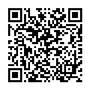 如果这个时候西华城的拍卖会上出现了可以渡海的船型法宝二维码生成