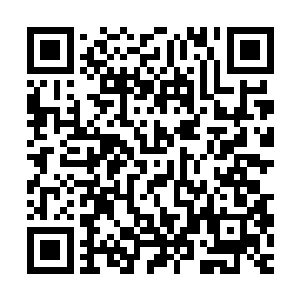 如果这个bug不存在的话你如何解释政府要采取如此白痴的举动呢二维码生成
