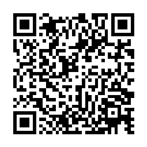 如果这些能量无法跟随他的推演去修复那些破损的地方二维码生成