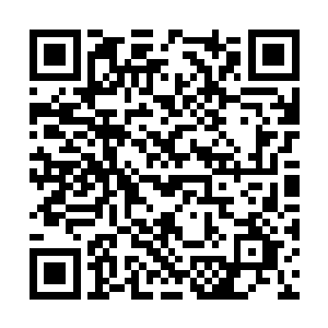 如果这招商引资办真的能实实在在拉来像样的项目二维码生成