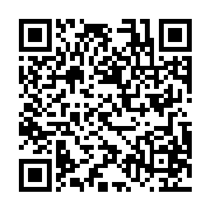 如果这样他们还意识不到他们今天已经无法杀掉赵紫薇二维码生成