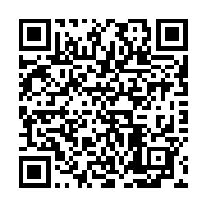 如果这灵墨晶确实是苏家矿脉所出……这就解释的通了二维码生成